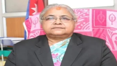 Nepal Interim Government