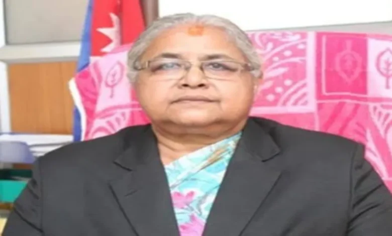 Nepal Interim Government