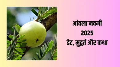 Amla Navami 2025