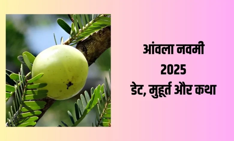 Amla Navami 2025