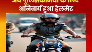 MP News