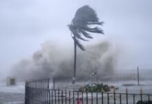 weather