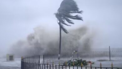 weather